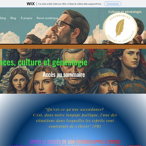 Capture d'écran du site de l'annonce