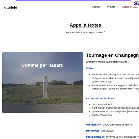 Capture d'écran du site de l'annonce