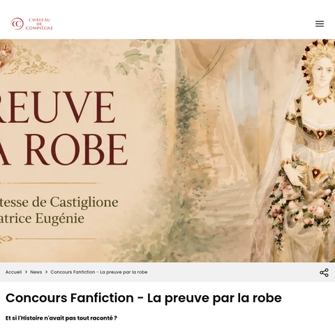 Capture d'écran du site de l'annonce