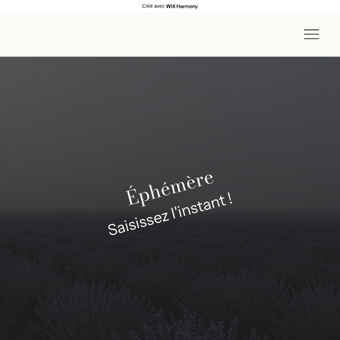 Capture d'écran du site de l'annonce