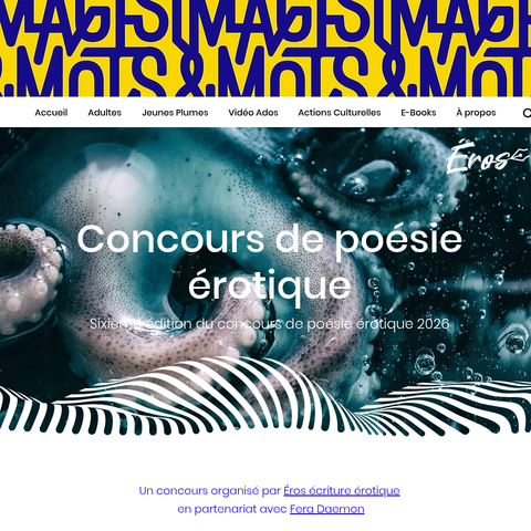 Capture d'écran du site de l'annonce