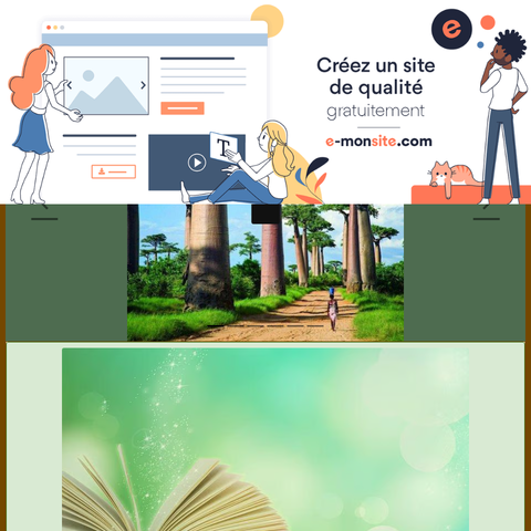 Capture d'écran du site de l'annonce