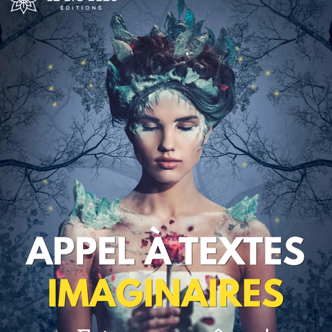 Capture d'écran du site de l'annonce