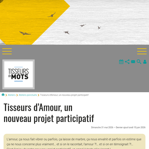 Capture d'écran du site de l'annonce