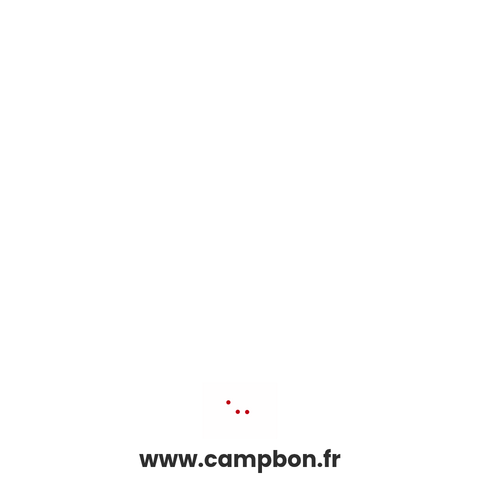 Capture d'écran du site de l'annonce