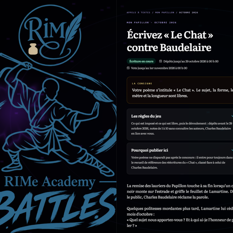 Capture d'écran du site de l'annonce