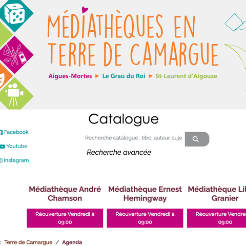 Capture d'écran du site de l'annonce