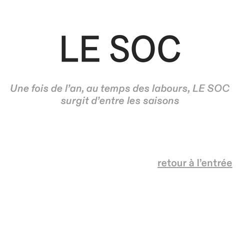 Capture d'écran du site de l'annonce