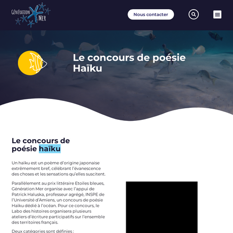 Capture d'écran du site de l'annonce