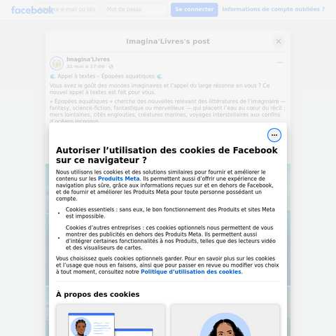 Capture d'écran du site de l'annonce