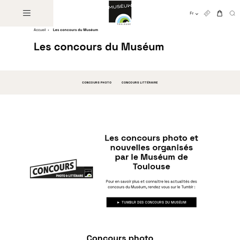 Capture d'écran du site de l'annonce