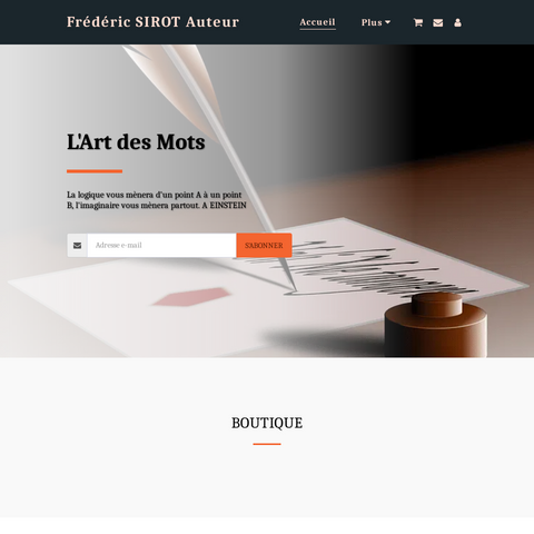 Capture d'écran du site de l'annonce