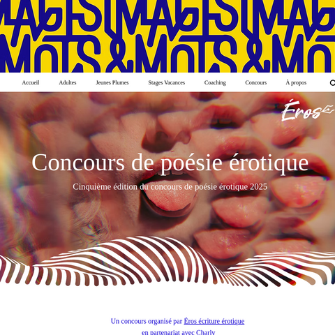 Capture d'écran du site de l'annonce