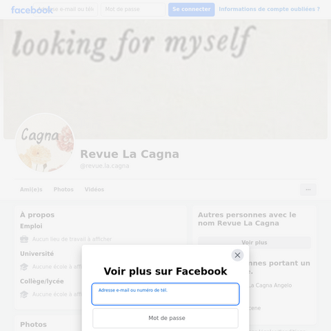 Capture d'écran du site de l'annonce