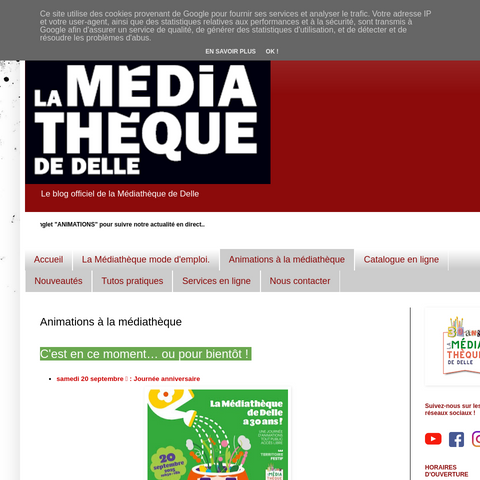 Capture d'écran du site de l'annonce