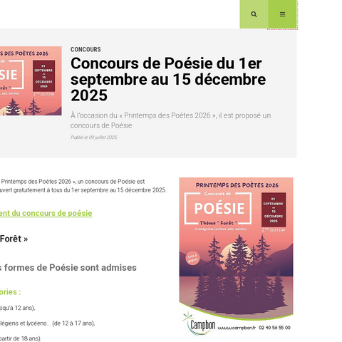 Capture d'écran du site de l'annonce