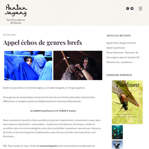 Capture d'écran du site de l'annonce