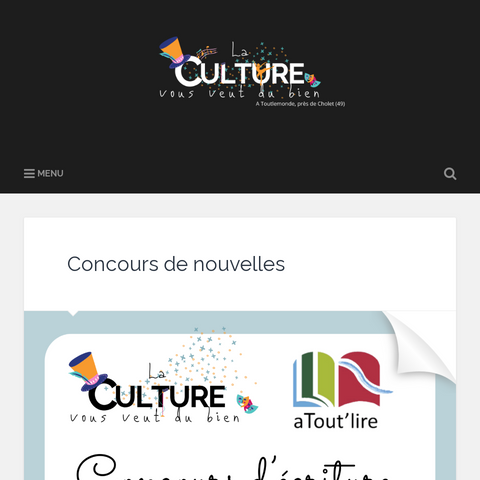 Capture d'écran du site de l'annonce