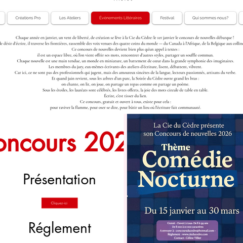 Capture d'écran du site de l'annonce
