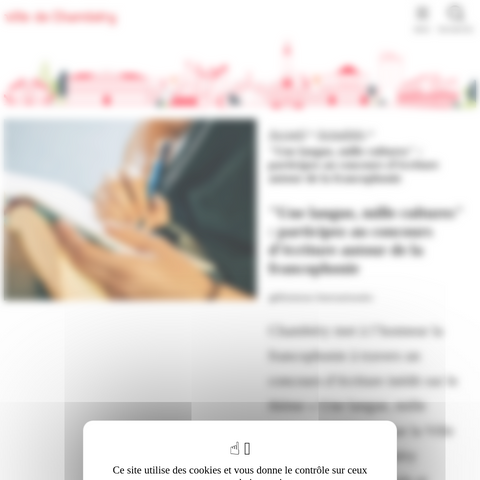 Capture d'écran du site de l'annonce