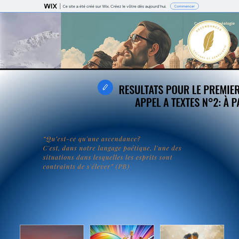 Capture d'écran du site de l'annonce