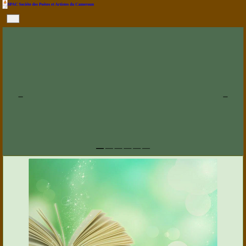 Capture d'écran du site de l'annonce