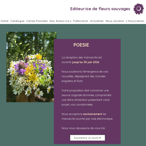 Capture d'écran du site de l'annonce